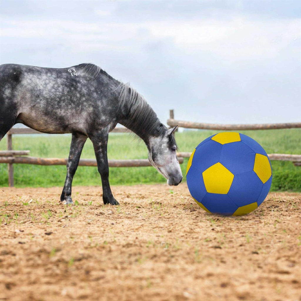 Herding Ball with Hand Pump Z3195