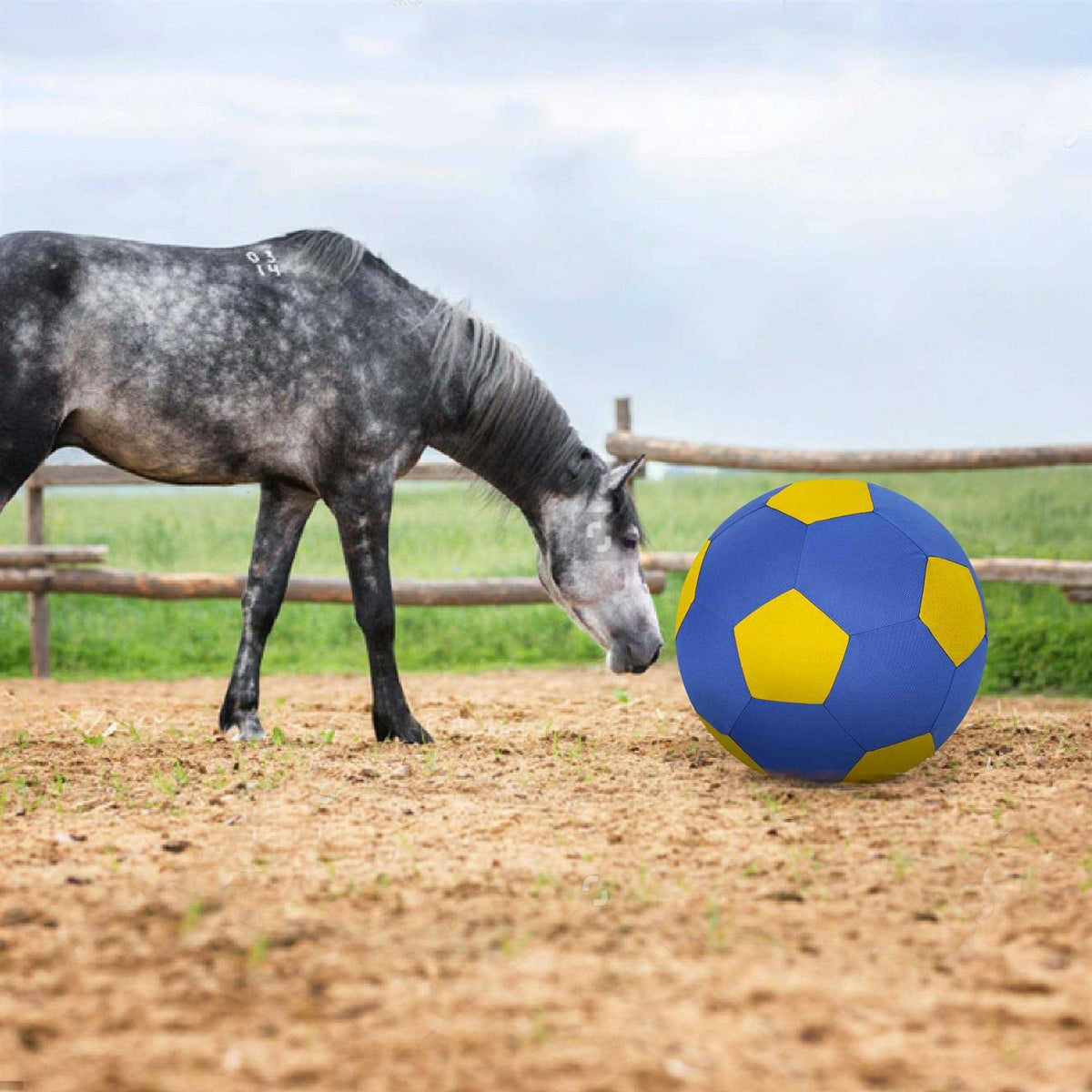 Herding Ball with Hand Pump Z3195