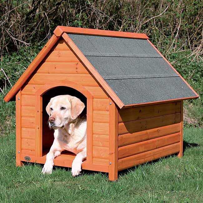 Natura Cottage B374702