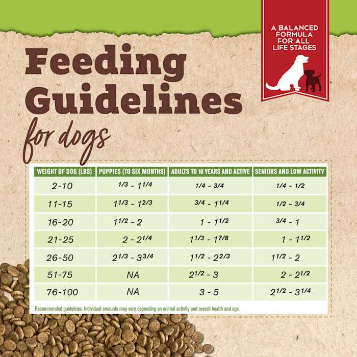 Organic Chicken & Liver Recipe Dry Dog Food N9179
