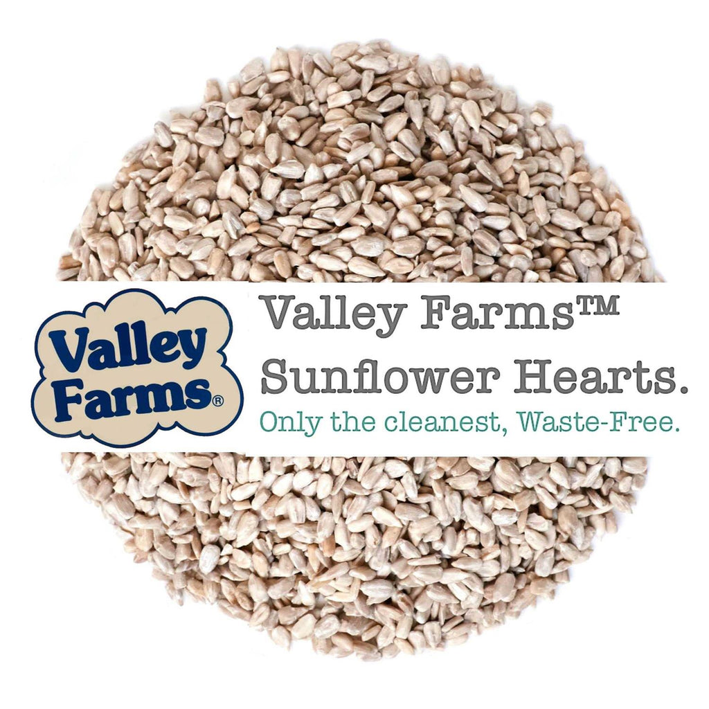 Sunflower Hearts Wild Bird Food L1231