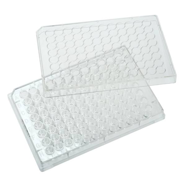 12 Well Tissue Culture Plate with Lid, Sterile I5718