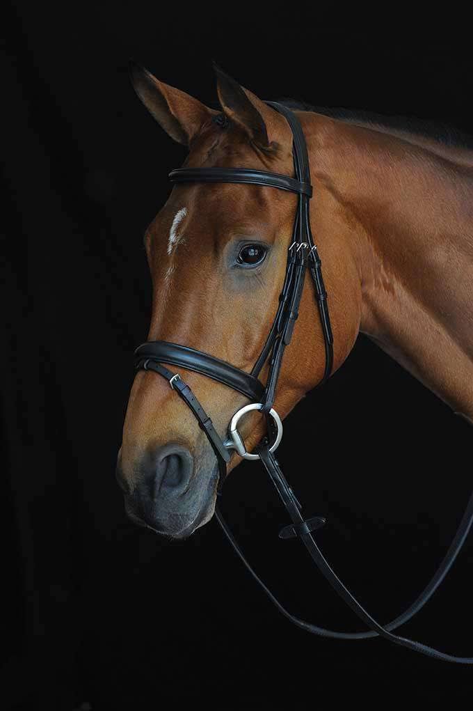 Padded Raised Flash Bridle - Brown - COB A3129
