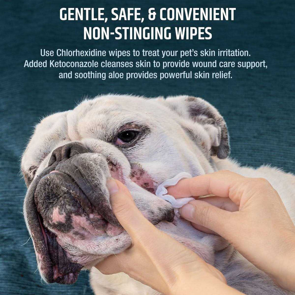 Chlorhexidine Dog & Cat Wipes S1836