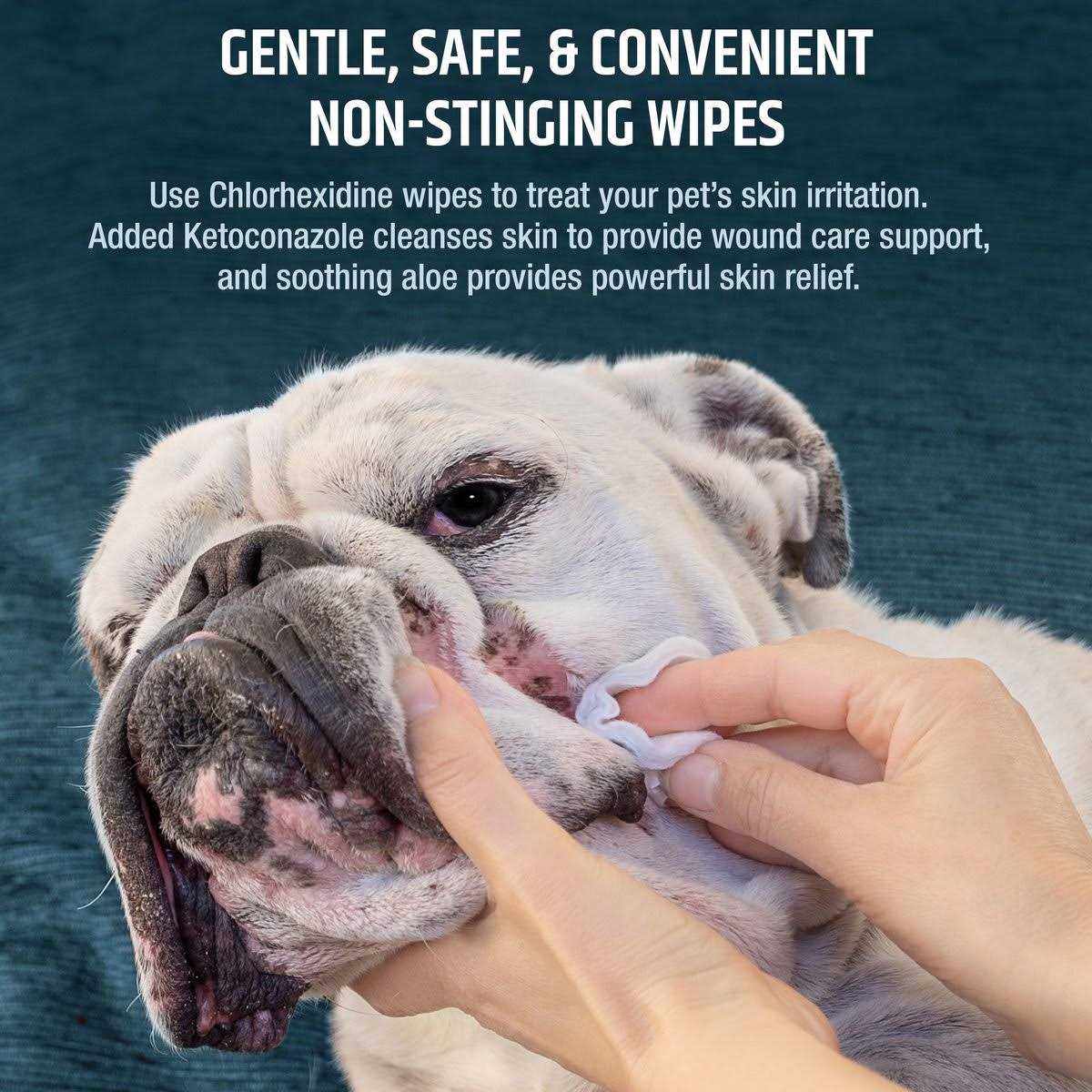 Chlorhexidine Dog & Cat Wipes S1836