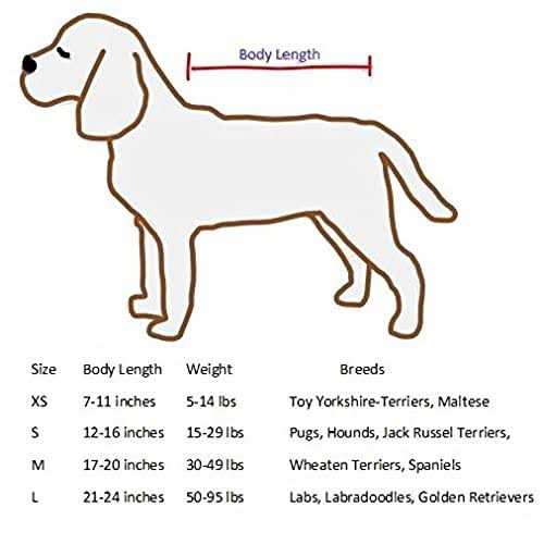 Small Dog Dryer C9779