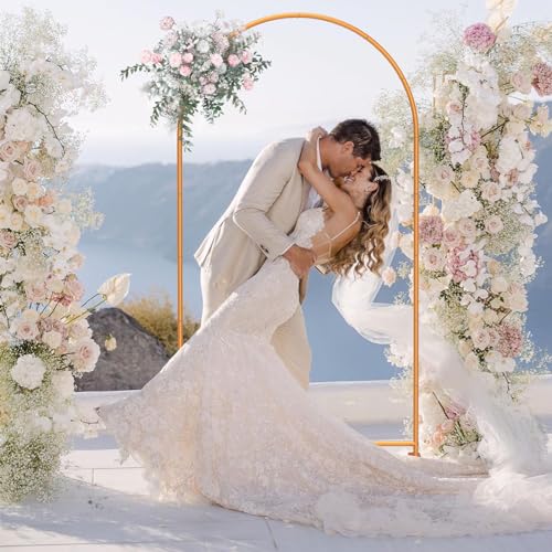 7.2FT Gold Metal Arch Backdrop Stand X163015