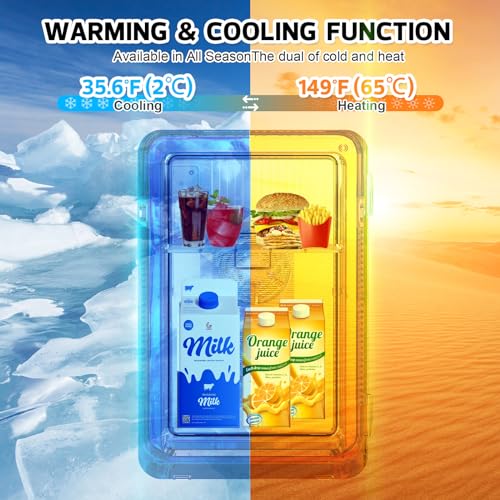 22L Mini Fridge Portable Cooler Warmer Compact Refrigerators with AC/DC Power N488
