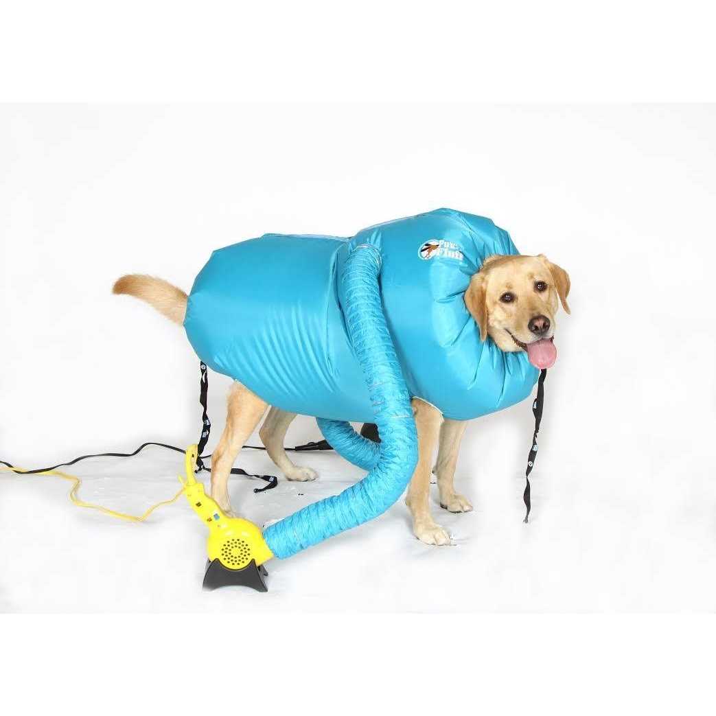 Small Dog Dryer C9779