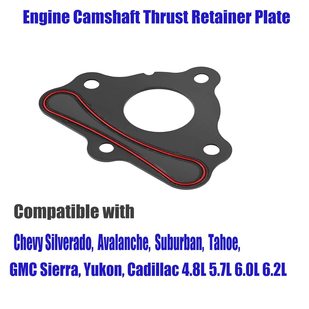 Cam Retainer Plate Gasket Engine Seal Camshaft Gasket Pack of 2 R357