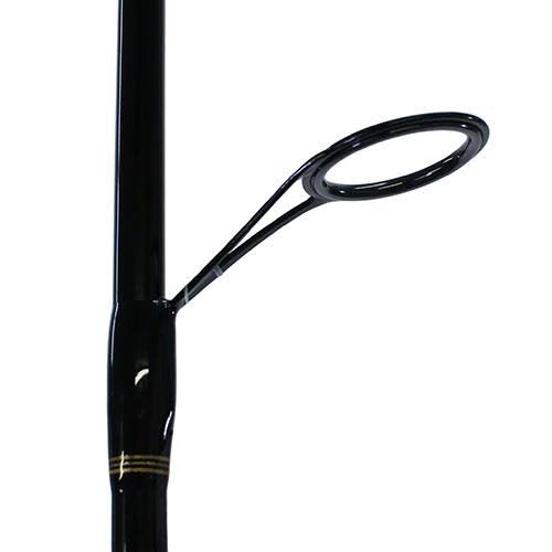 Saltwater Spinning Combo E9665