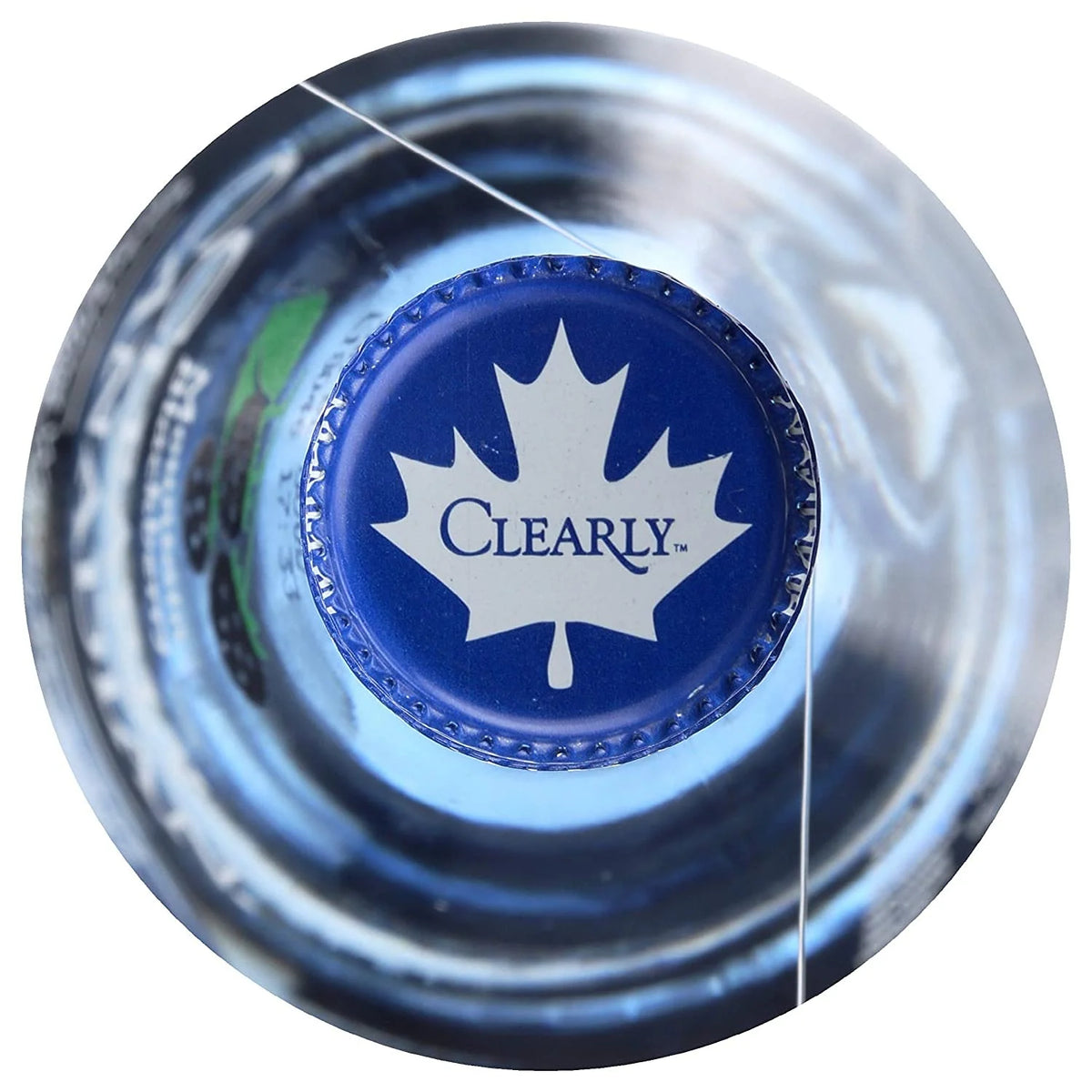 Blackberry Sparkling Water (Pack Of 2) T772394
