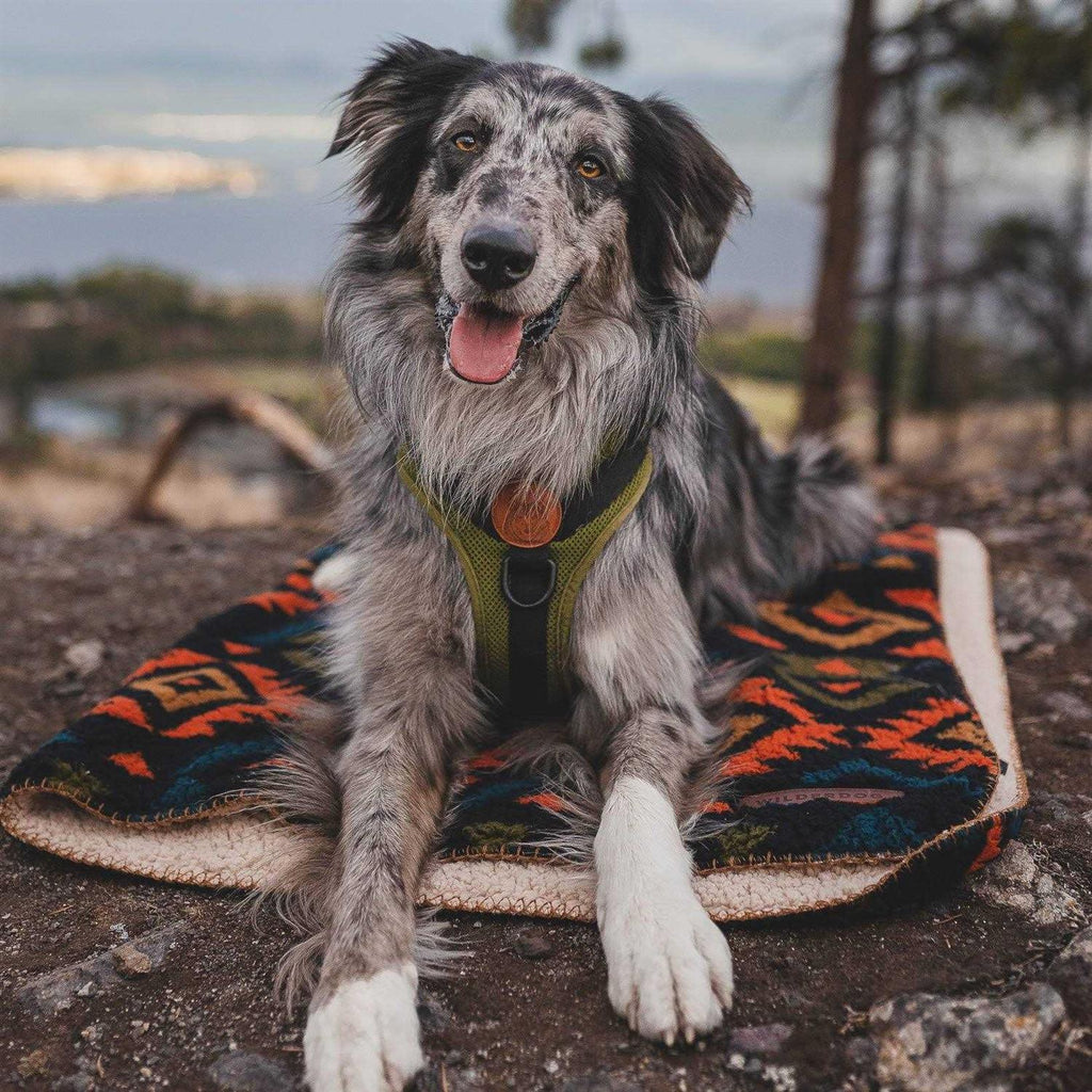 Sherpa Fleece Waterproof Blanket R270