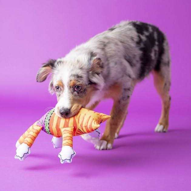 Dog Toy E65957