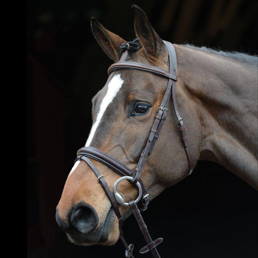 Padded Raised Flash Bridle - Brown - COB A3129