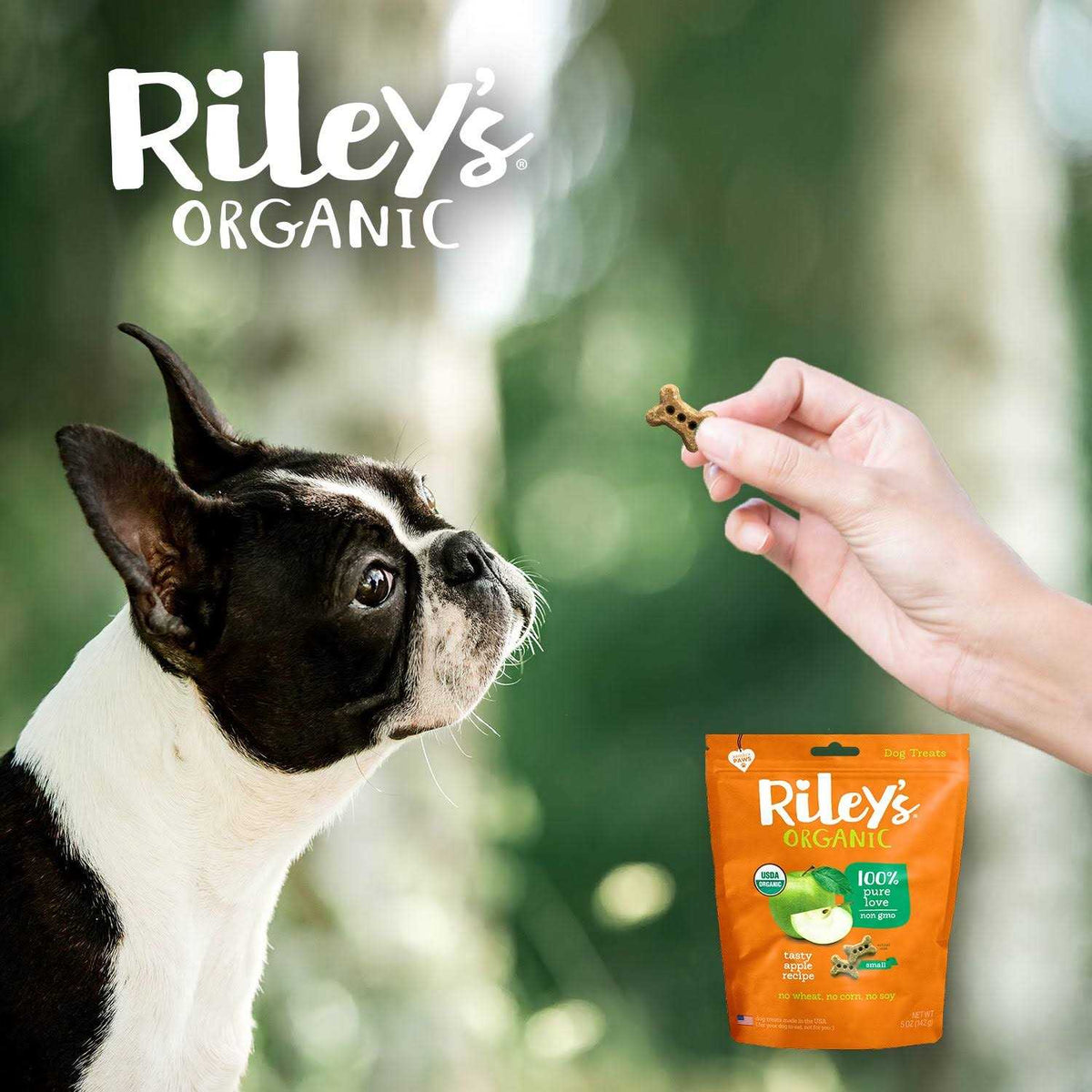 Dog Treats Q687609