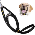 Padded Dog Training Head Collar W176999