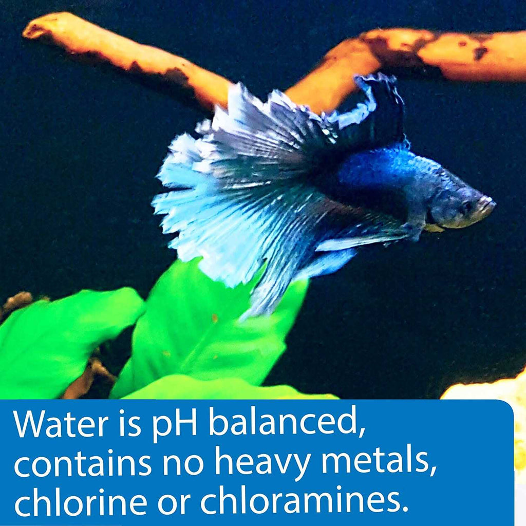 Betta Water Q49245