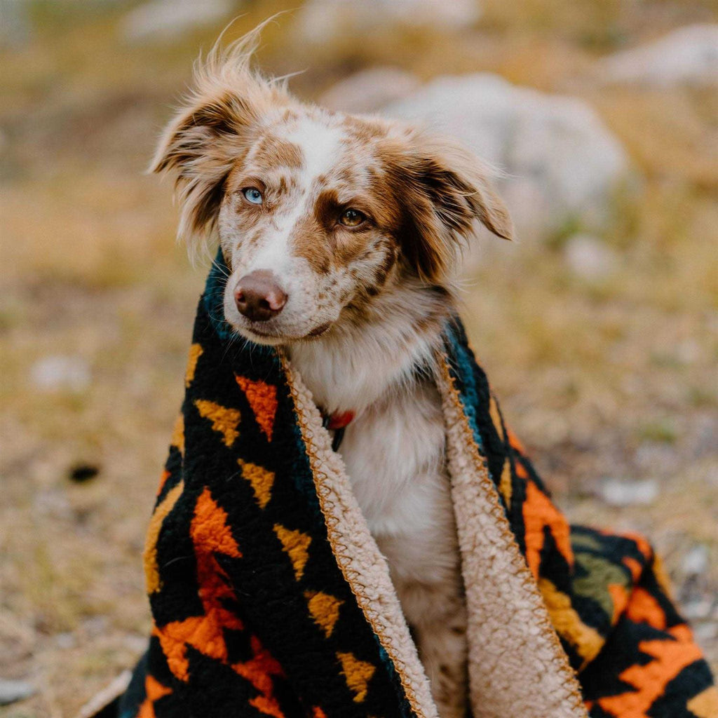Sherpa Fleece Waterproof Blanket R270