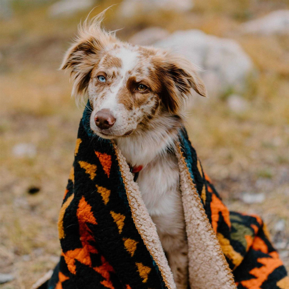 Sherpa Fleece Waterproof Blanket R270