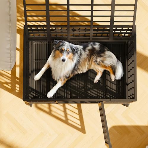 48 inch Heavy Duty Dog Crate with Lockable Wheels, Double Door, Removable Tray, Black A524
