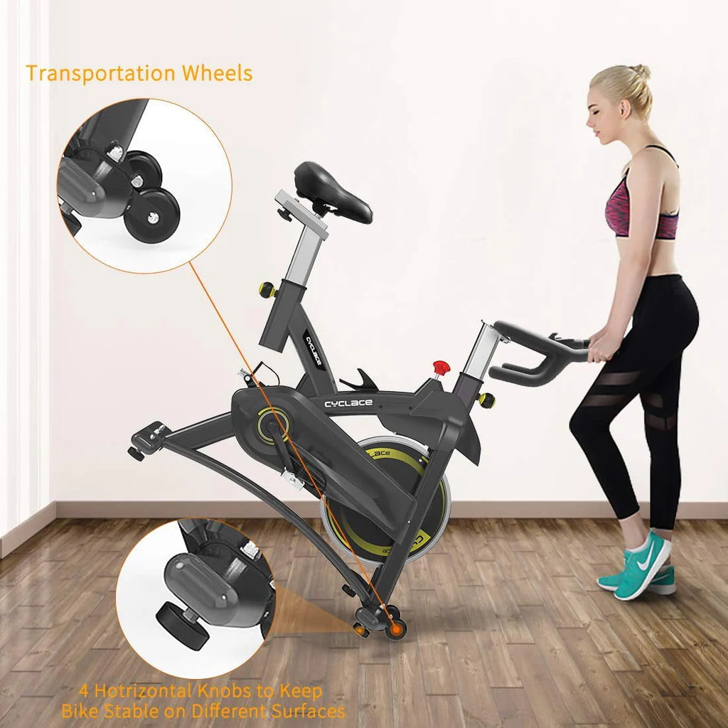 Magnetic Exercise Bike 350lbs with Tablet Holder N564