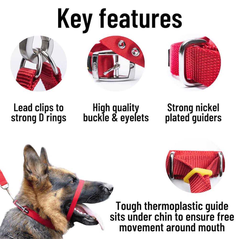 Padded Dog Training Head Collar W176999
