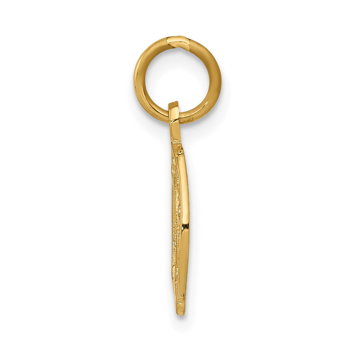 14K Yellow Gold Horseshoe Pendant Charm with 10K Yellow Gold Rope Chain Necklace 20'' F341921