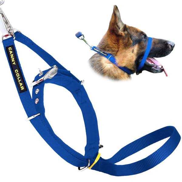 Padded Dog Training Head Collar W176999