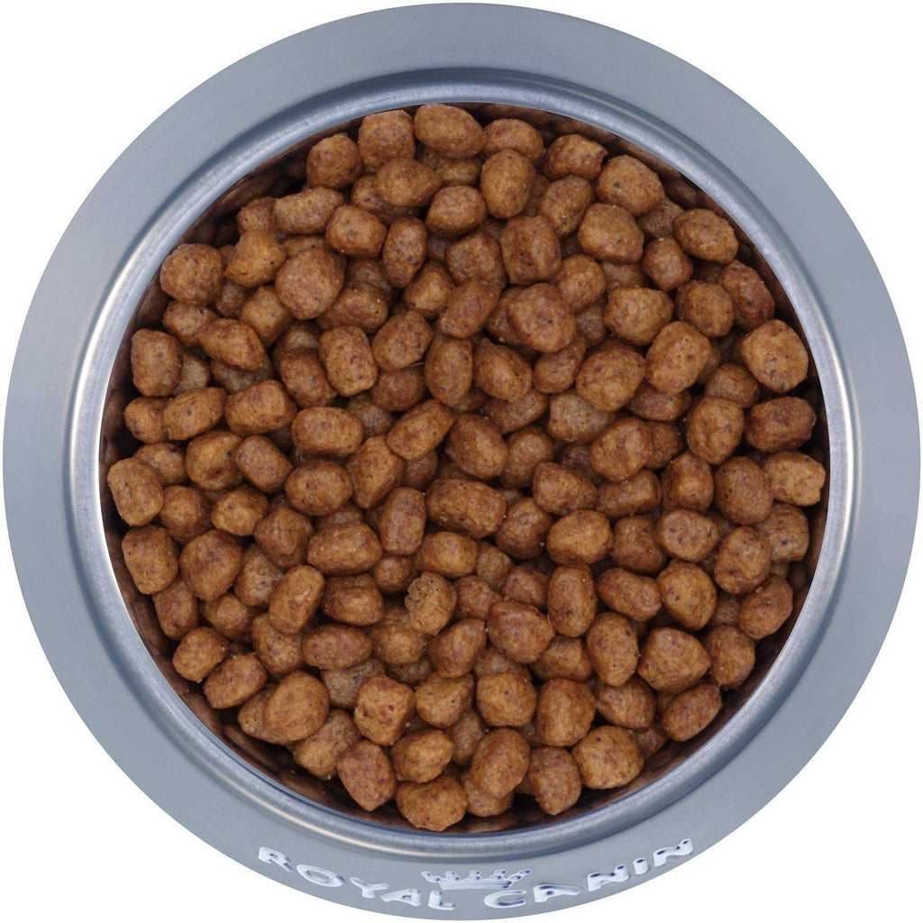 Chihuahua Adult Dry Dog Food M341