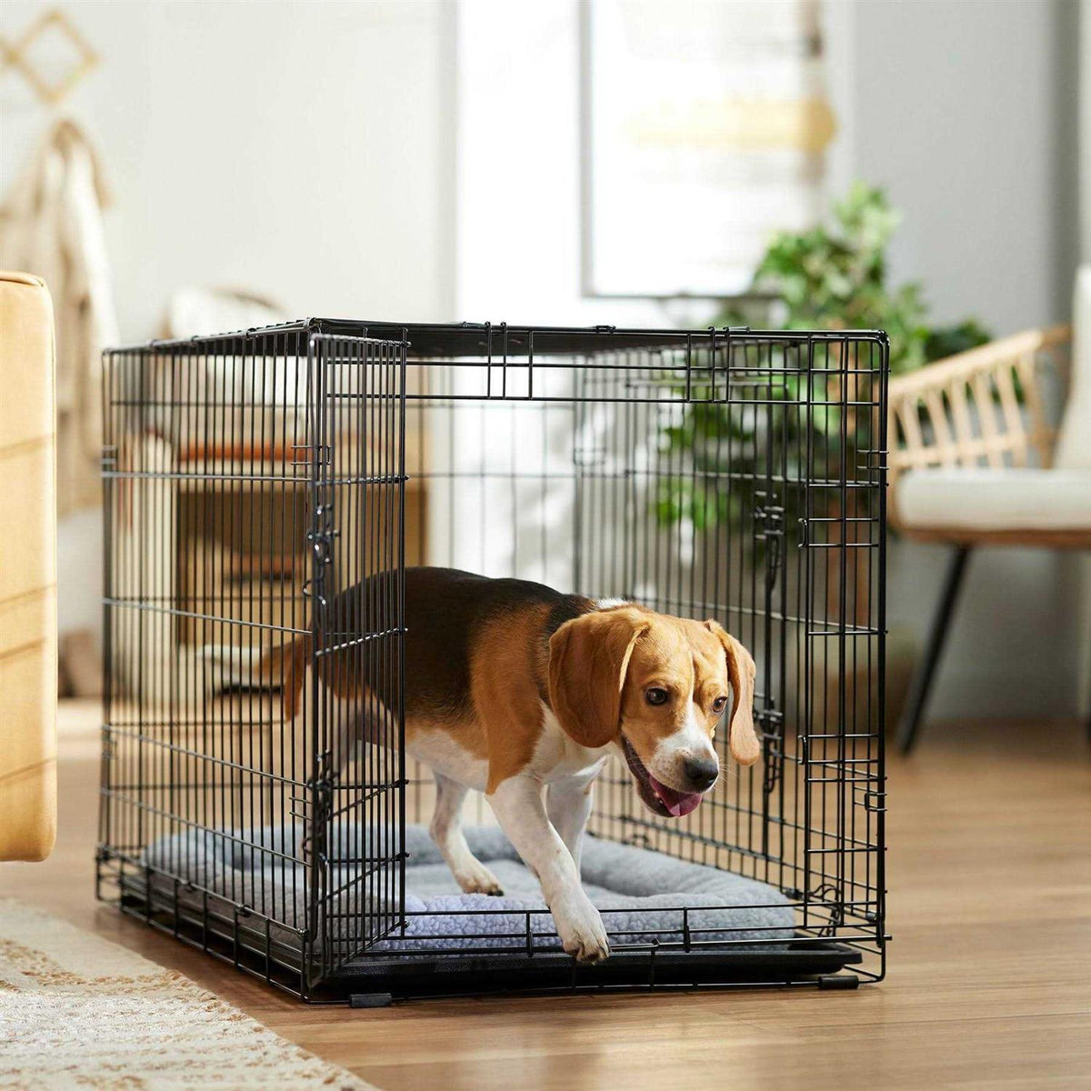 Heavy Duty Fold & Carry Double Door Collapsible Wire Dog Crate Y33504