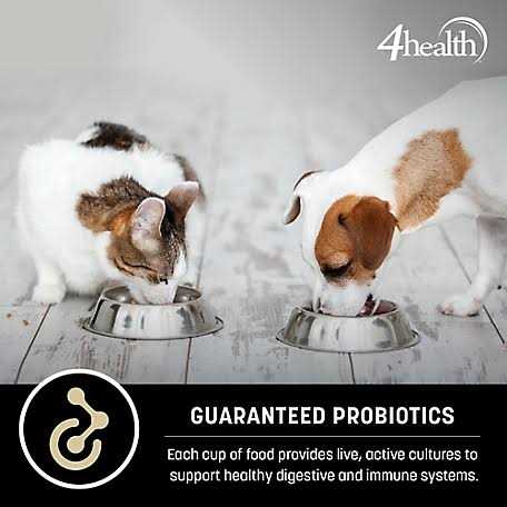 Adult Chicken and Rice Formula Dry Dog Food R148837