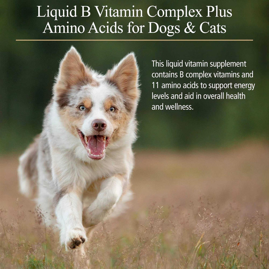 Amino B-Plex for Pets V35209