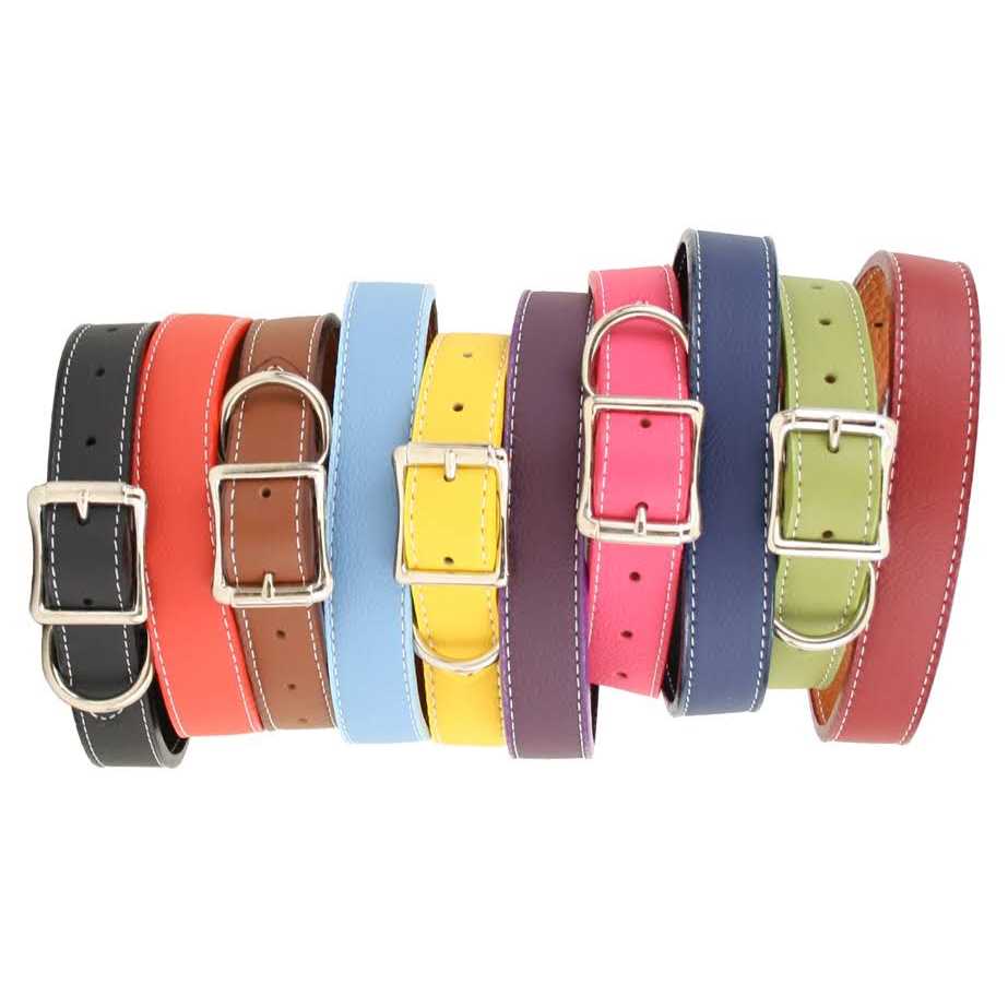Leather Dog Collar J7974
