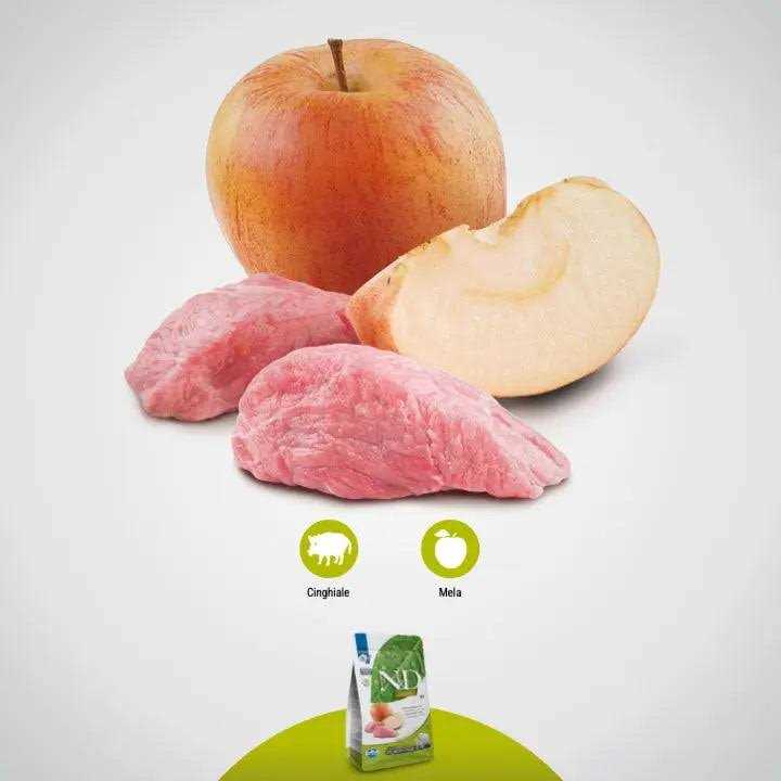 Dog Dry Food Boar & Apple Adult Mini J510