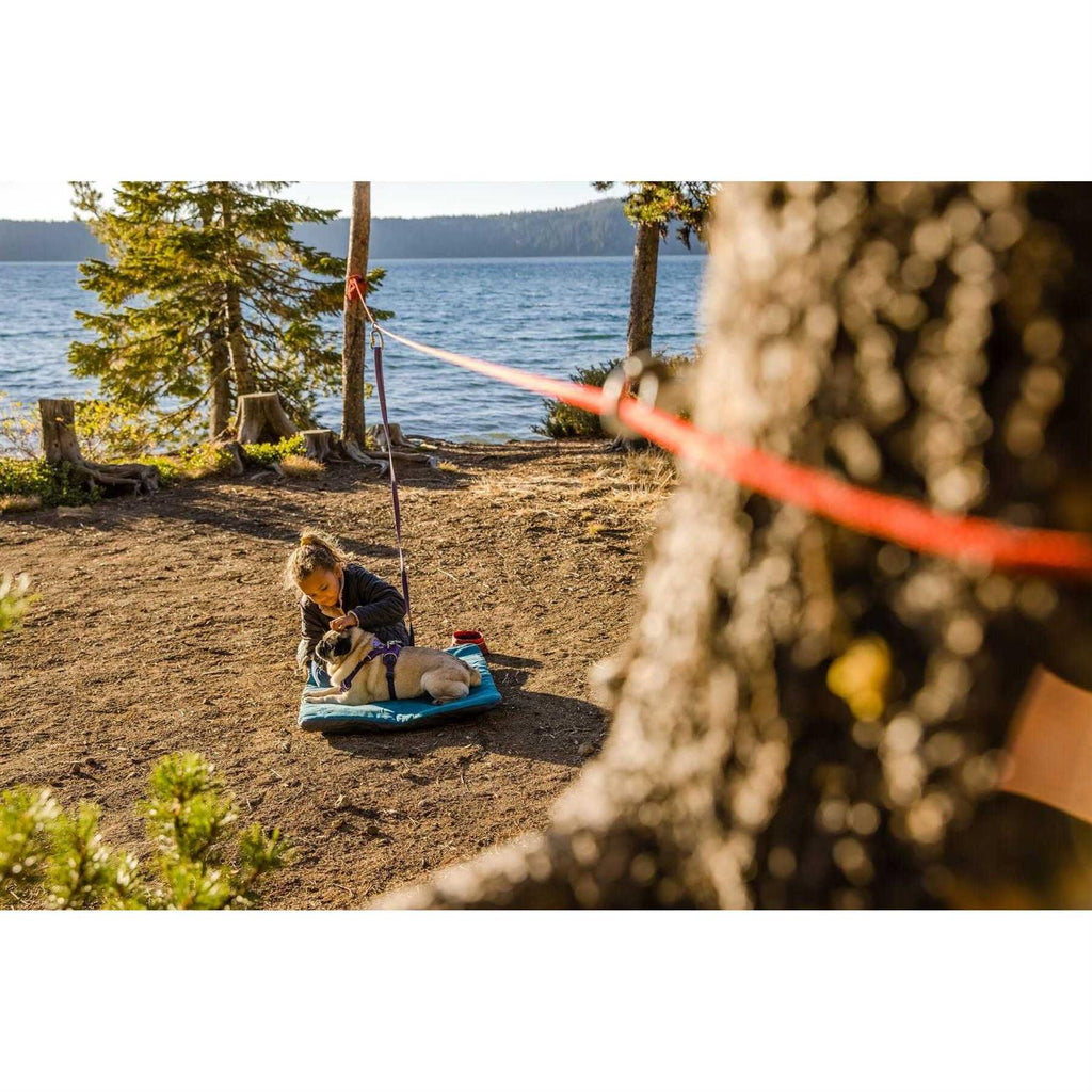 Dog Hitch T149