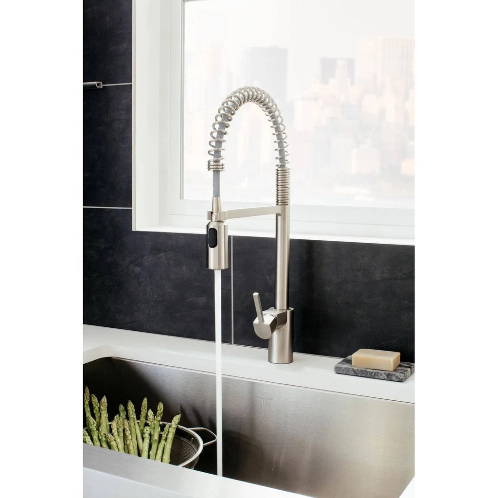 Black One-Handle Pulldown Kitchen Faucet R747121