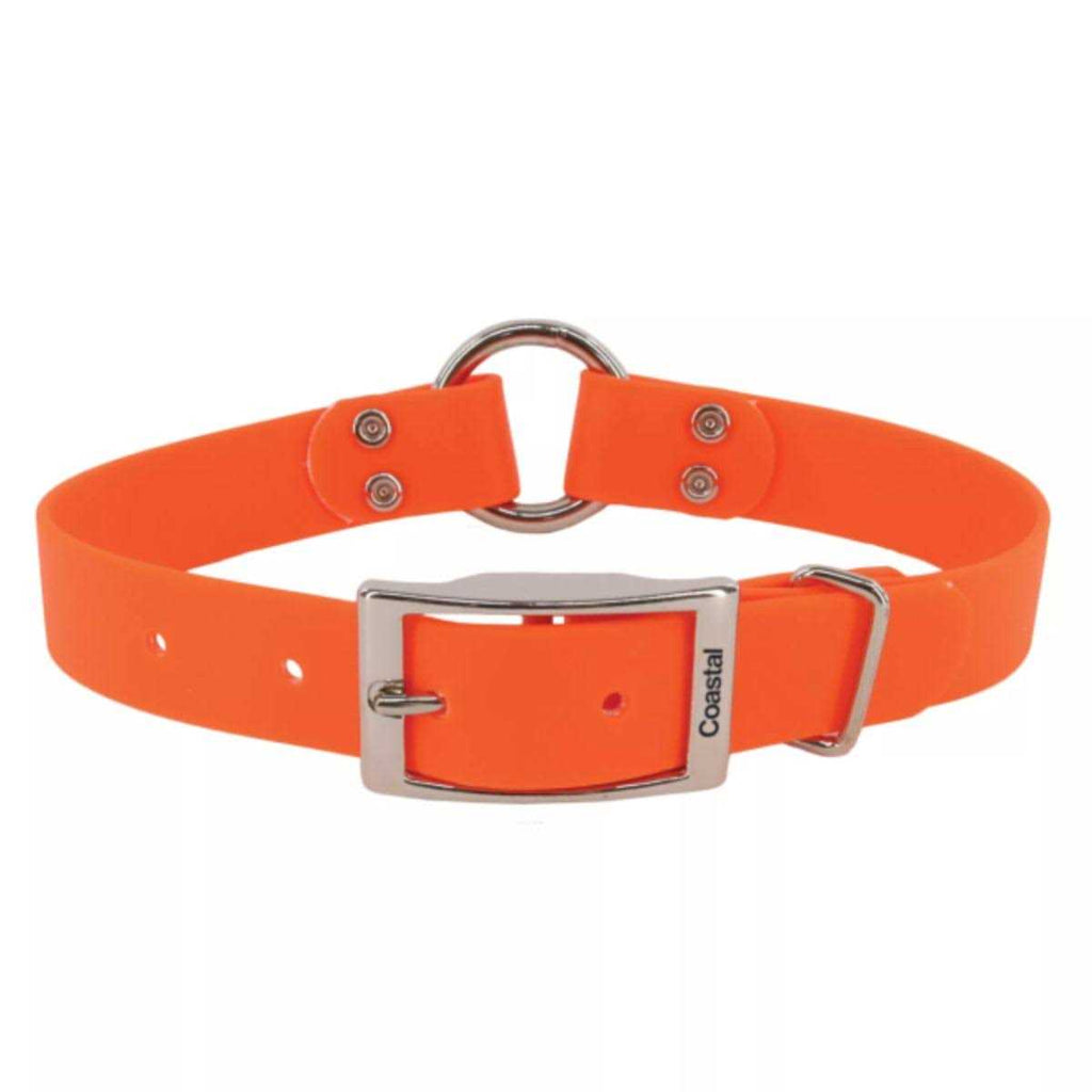 Waterproof Dog Collar C372717
