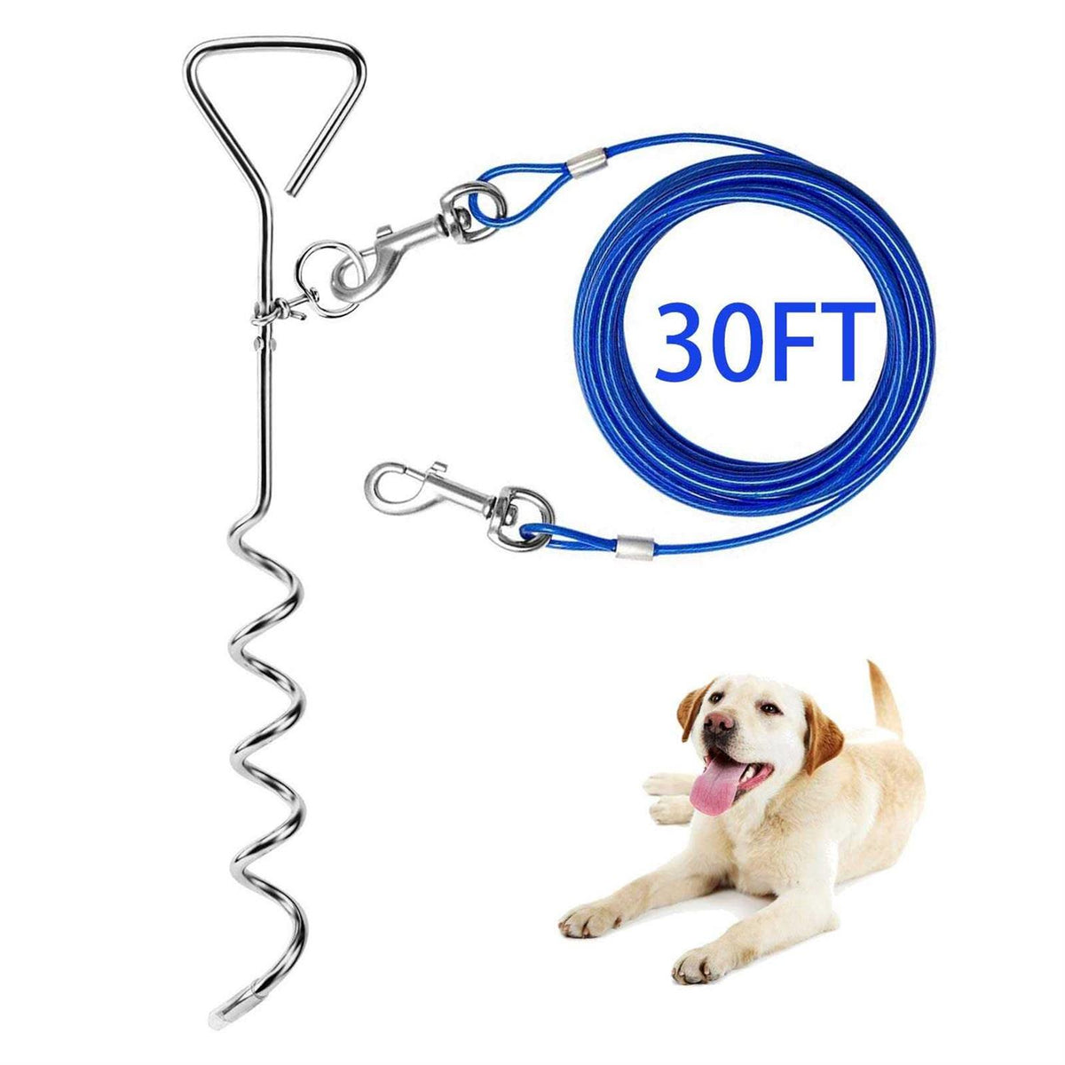 Dog Tie Out Cable and Anti Rust Spiral Stake, 30ft Leash Z396301