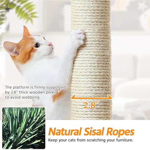 Dark Gray and White Multi-Level Cat Tree with Scratching Posts G73999