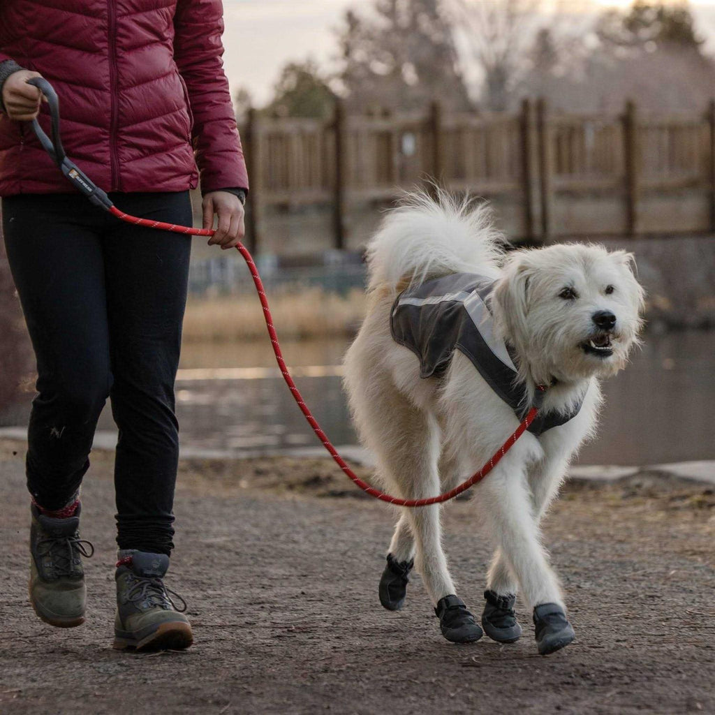 Leash N314