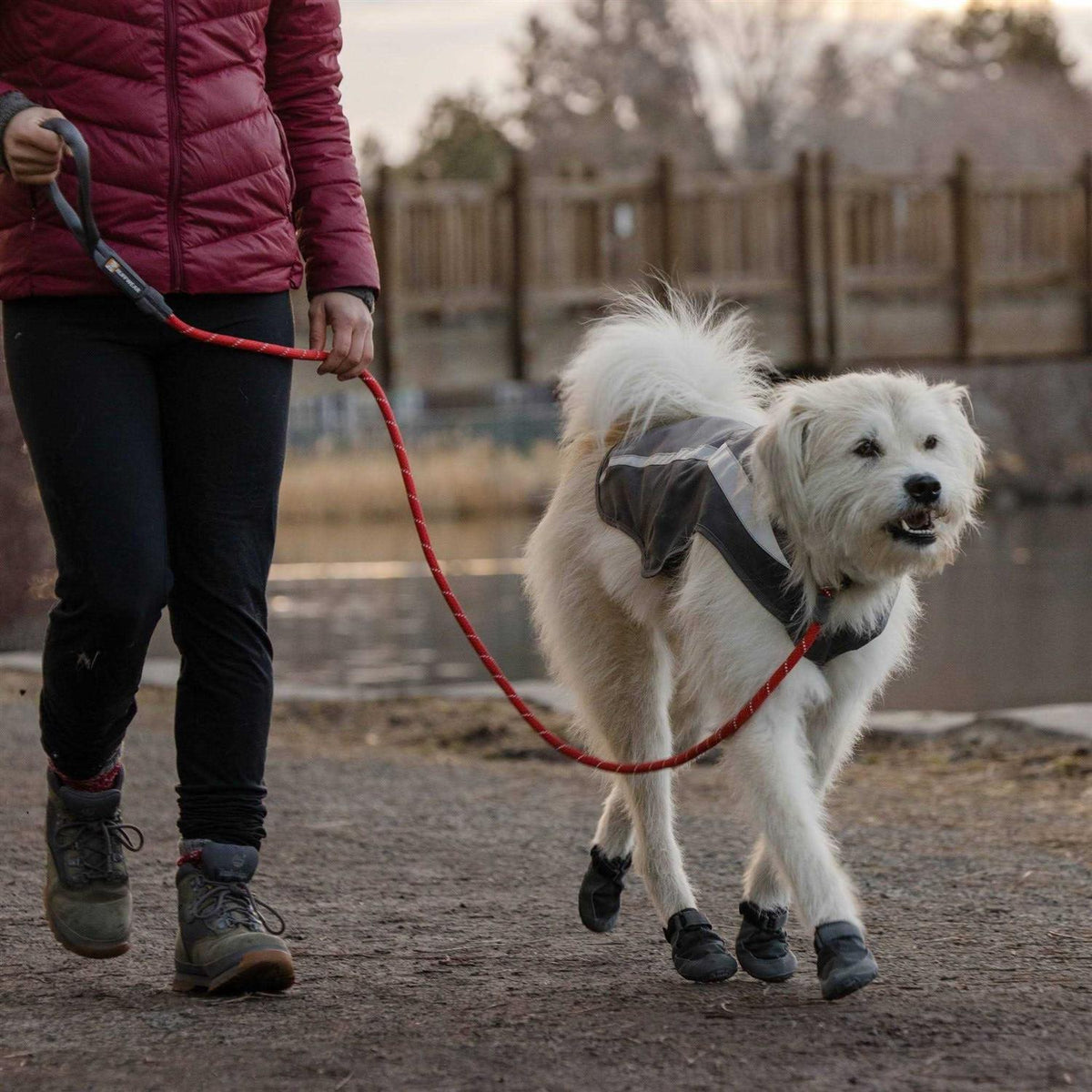 Leash N314