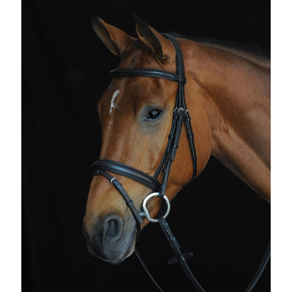 Padded Raised Flash Bridle - Brown - COB A3129
