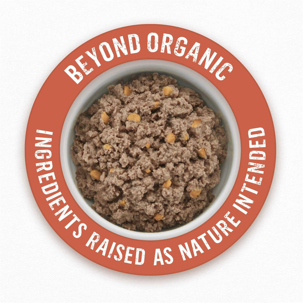 Organic Chicken Recipe Wet Dog Food X1765
