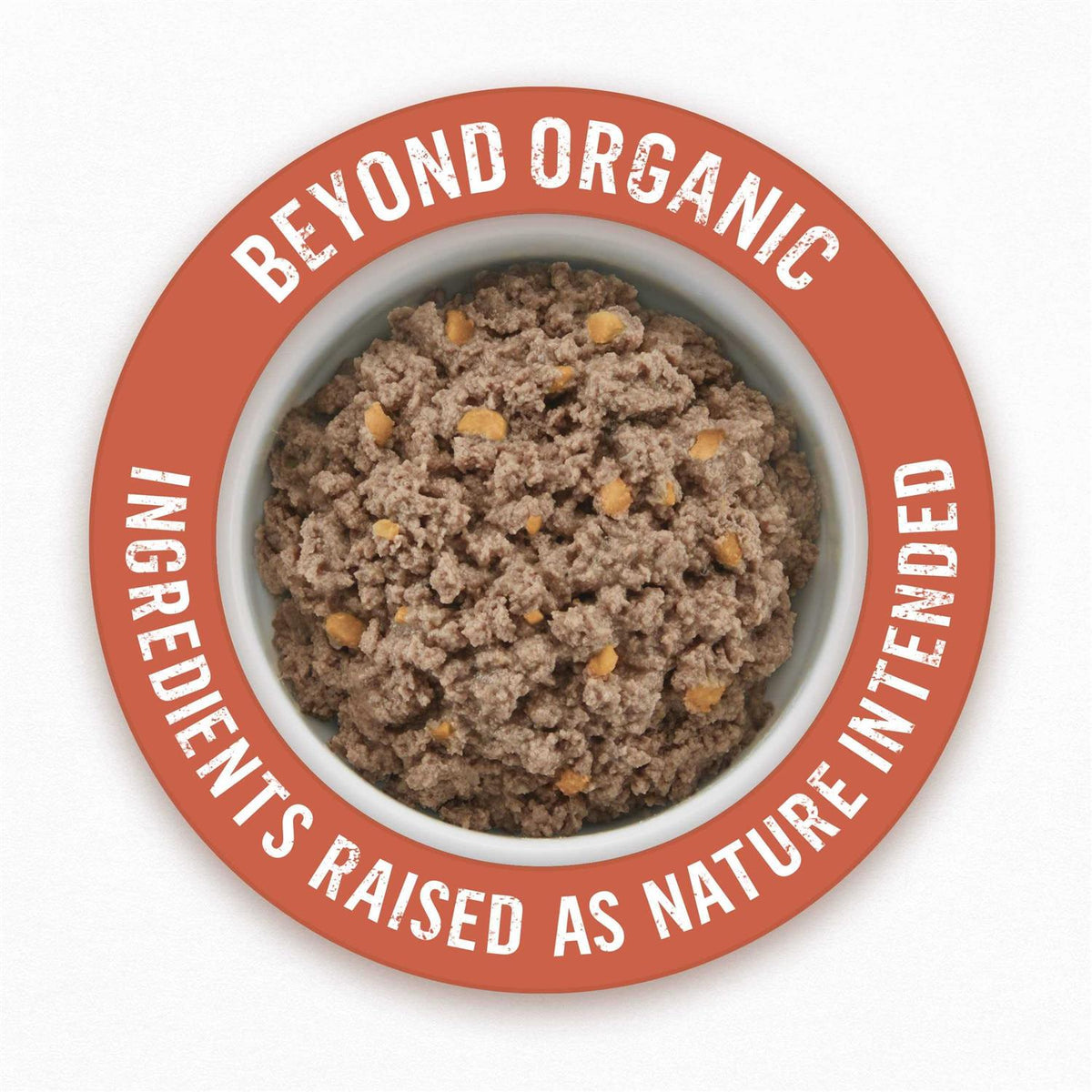 Organic Chicken Recipe Wet Dog Food X1765