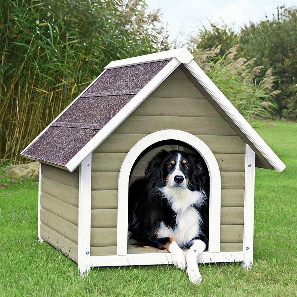 Dog House Z848