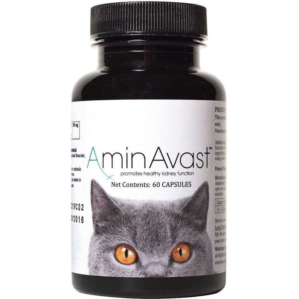Kidney Support for Cats T70772