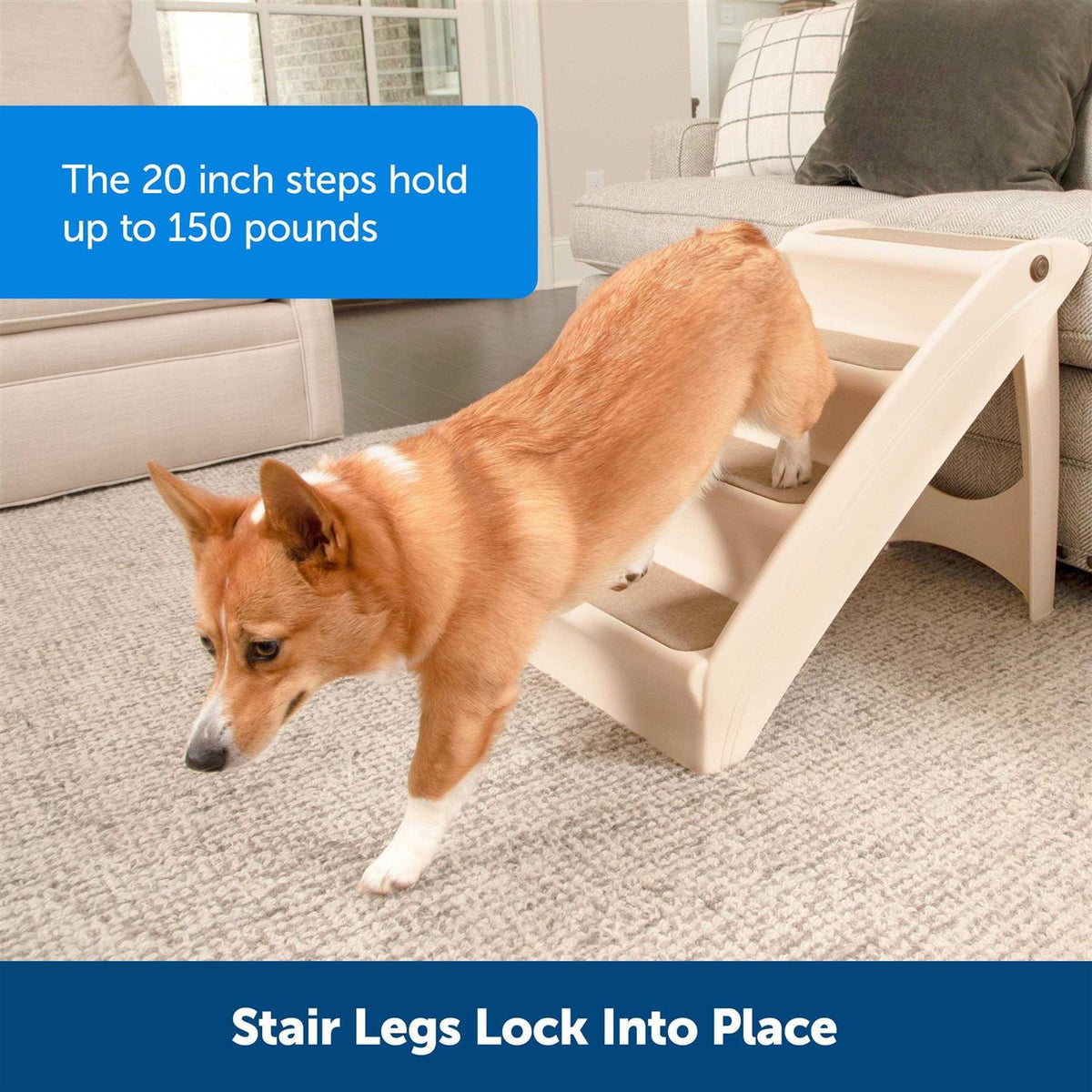 Folding Pet Steps N3916