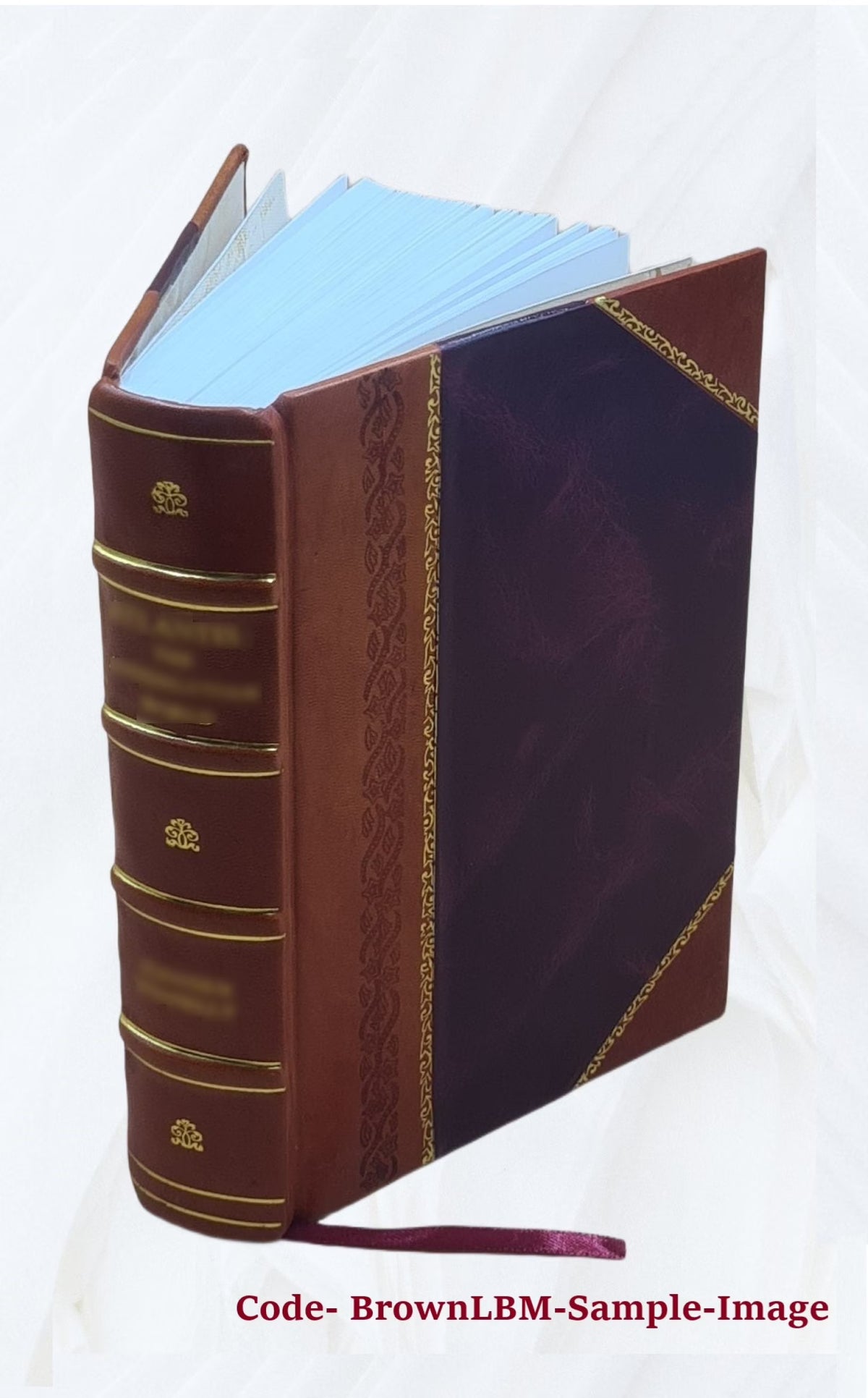 Westward ho! or, The voyages and adventures of Sir Amyas Leigh, knight of Burrough, in the county of Devon, in the reign of Her Most Glorious Majesty, Queen Elizabeth, rendered int Q268