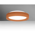 13 Ceiling Flush Mount V4391